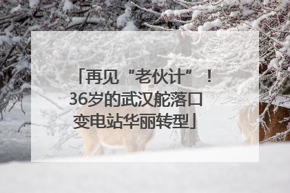 再见“老伙计”！36岁的武汉舵落口变电站华丽转型