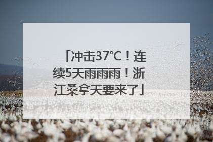 冲击37℃！连续5天雨雨雨！浙江桑拿天要来了