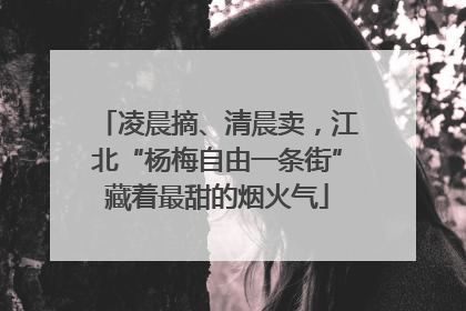 凌晨摘、清晨卖，江北“杨梅自由一条街”藏着最甜的烟火气