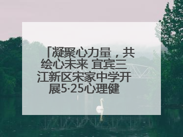 凝聚心力量，共绘心未来 宜宾三江新区宋家中学开展5·25心理健康月活动