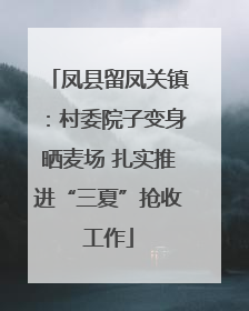 凤县留凤关镇：村委院子变身晒麦场 扎实推进“三夏”抢收工作