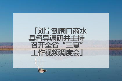 刘宁到周口商水县督导调研并主持召开全省“三夏”工作视频调度会