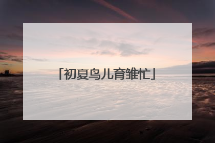 初夏鸟儿育雏忙