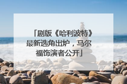 剧版《哈利波特》最新选角出炉，马尔福饰演者公开