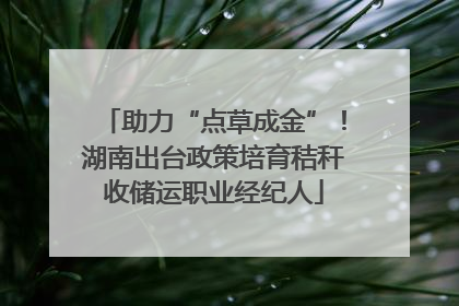 助力“点草成金”！湖南出台政策培育秸秆收储运职业经纪人