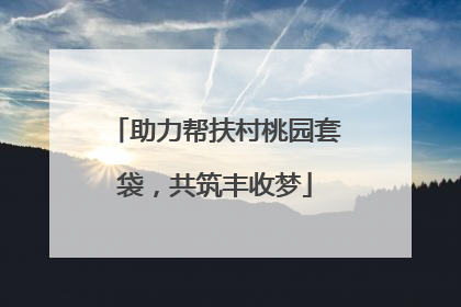 助力帮扶村桃园套袋，共筑丰收梦