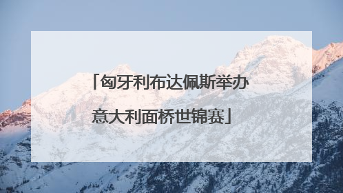 匈牙利布达佩斯举办意大利面桥世锦赛