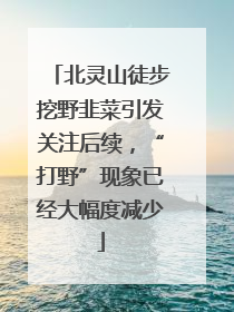 北灵山徒步挖野韭菜引发关注后续，“打野”现象已经大幅度减少