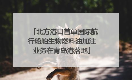 北方港口首单国际航行船舶生物燃料油加注业务在青岛港落地
