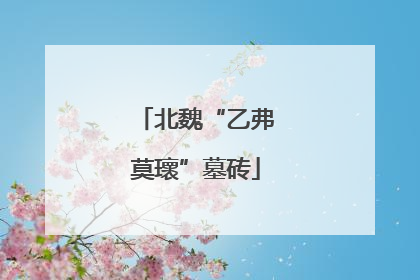 北魏“乙弗莫瓌”墓砖