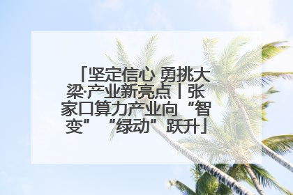 坚定信心 勇挑大梁·产业新亮点丨张家口算力产业向“智变”“绿动”跃升
