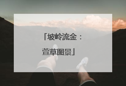 坡岭流金：萱草图景