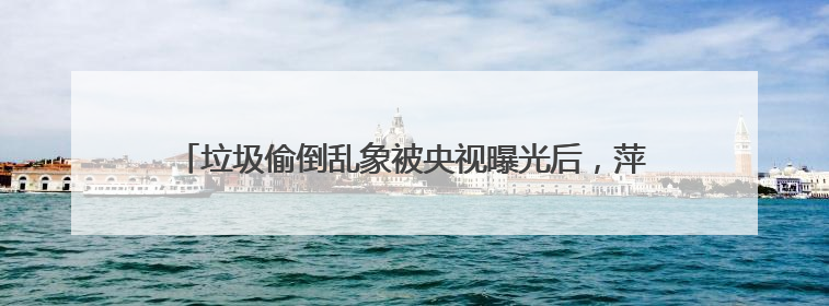 垃圾偷倒乱象被央视曝光后，萍乡市委书记实地督导专项整治