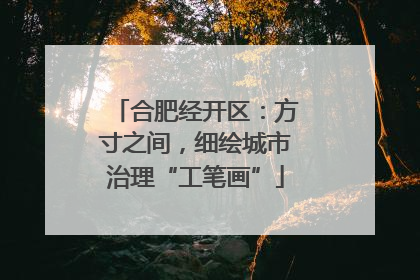 合肥经开区：方寸之间，细绘城市治理“工笔画”