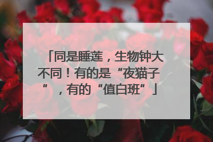 同是睡莲，生物钟大不同！有的是“夜猫子”，有的“值白班”