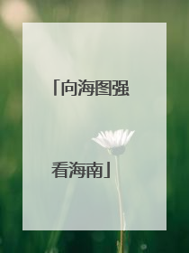 向海图强看海南