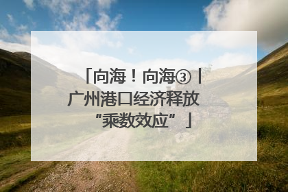 向海！向海③丨广州港口经济释放“乘数效应”