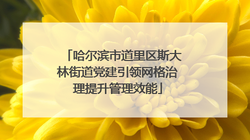 哈尔滨市道里区斯大林街道党建引领网格治理提升管理效能