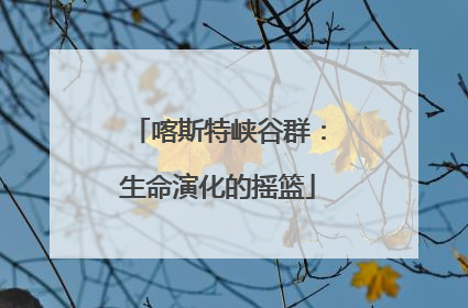 喀斯特峡谷群：生命演化的摇篮
