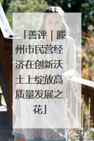 善评｜滕州市民营经济在创新沃土上绽放高质量发展之花