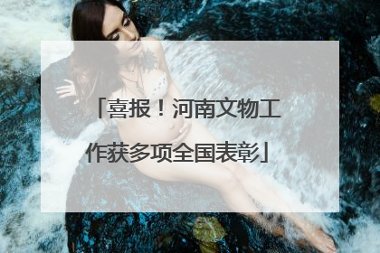 喜报！河南文物工作获多项全国表彰