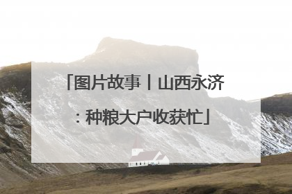 图片故事丨山西永济：种粮大户收获忙