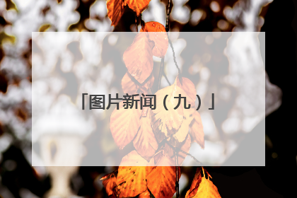 图片新闻（九）
