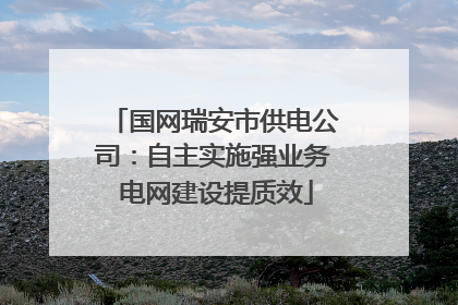 国网瑞安市供电公司：自主实施强业务 电网建设提质效