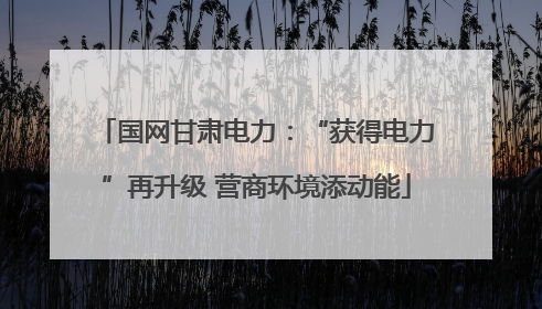 国网甘肃电力：“获得电力”再升级 营商环境添动能