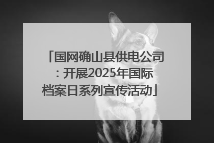 国网确山县供电公司：开展2025年国际档案日系列宣传活动