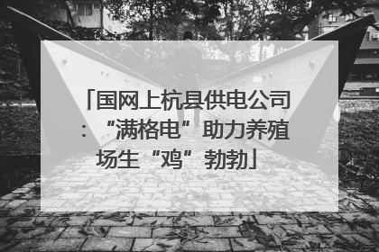 国网上杭县供电公司：“满格电”助力养殖场生“鸡”勃勃