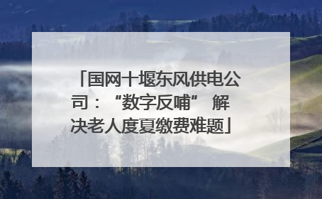 国网十堰东风供电公司：“数字反哺” 解决老人度夏缴费难题