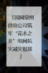 国网常州供电公司筑牢“花木之乡”电网抗灾减灾根基