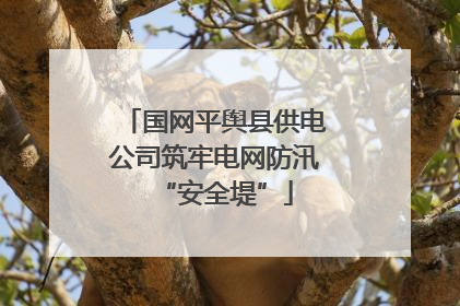 国网平舆县供电公司筑牢电网防汛“安全堤”
