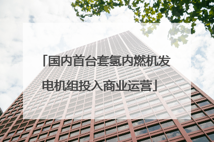国内首台套氢内燃机发电机组投入商业运营