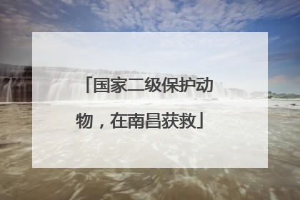 国家二级保护动物，在南昌获救