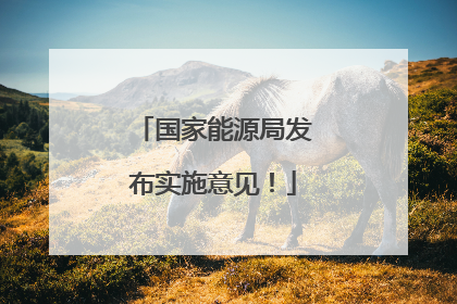 国家能源局发布实施意见！