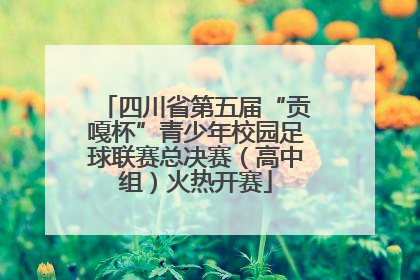 四川省第五届“贡嘎杯”青少年校园足球联赛总决赛（高中组）火热开赛