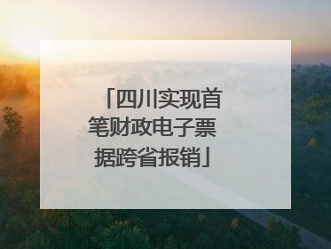 四川实现首笔财政电子票据跨省报销