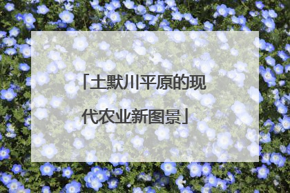 土默川平原的现代农业新图景
