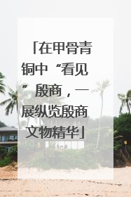 在甲骨青铜中“看见”殷商，一展纵览殷商文物精华
