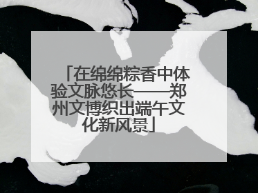 在绵绵粽香中体验文脉悠长——郑州文博织出端午文化新风景