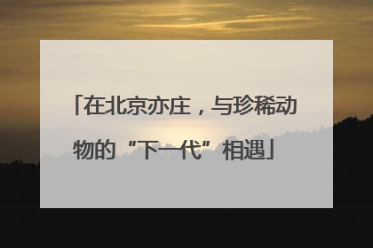 在北京亦庄，与珍稀动物的“下一代”相遇