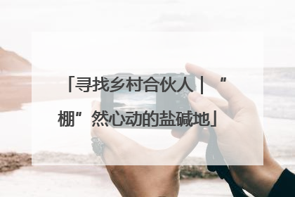 寻找乡村合伙人｜“棚”然心动的盐碱地