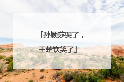 孙颖莎哭了，王楚钦笑了