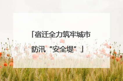 宿迁全力筑牢城市防汛“安全堤”