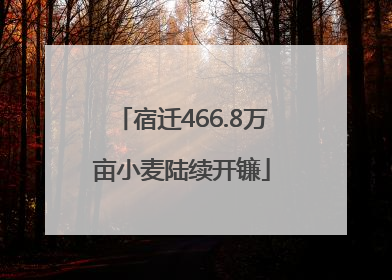 宿迁466.8万亩小麦陆续开镰