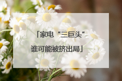 家电“三巨头”谁可能被挤出局
