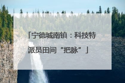 宁德城南镇：科技特派员田间“把脉”