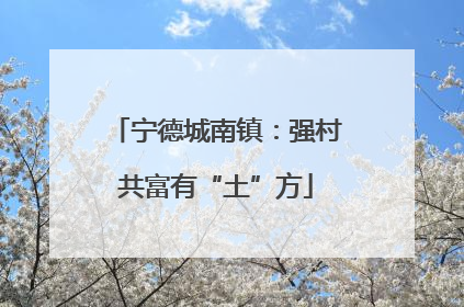 宁德城南镇：强村共富有“土”方